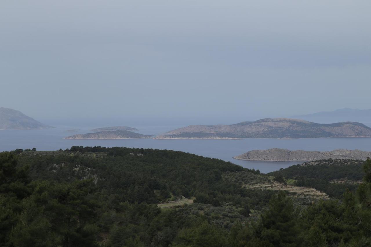 Echo Traditional House - Ηχώ Παραδοσιακό Σπίτι Émbonas Exteriér fotografie
