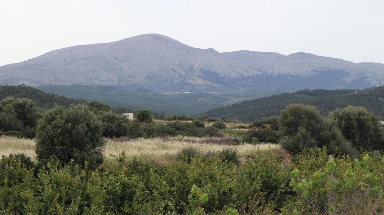 Echo Traditional House - Ηχώ Παραδοσιακό Σπίτι Émbonas Exteriér fotografie