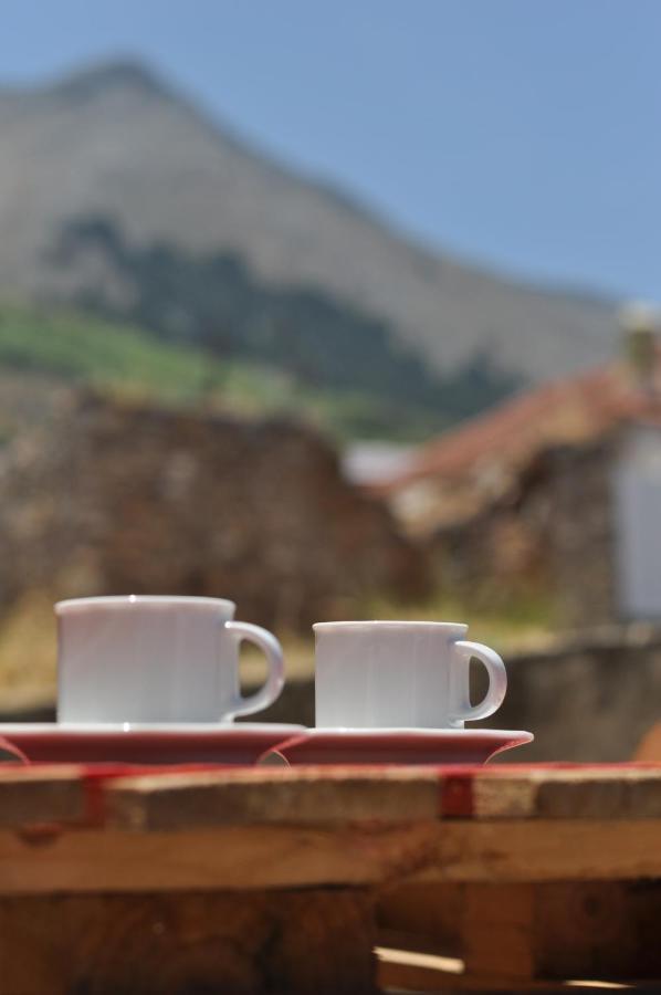 Echo Traditional House - Ηχώ Παραδοσιακό Σπίτι Émbonas Exteriér fotografie